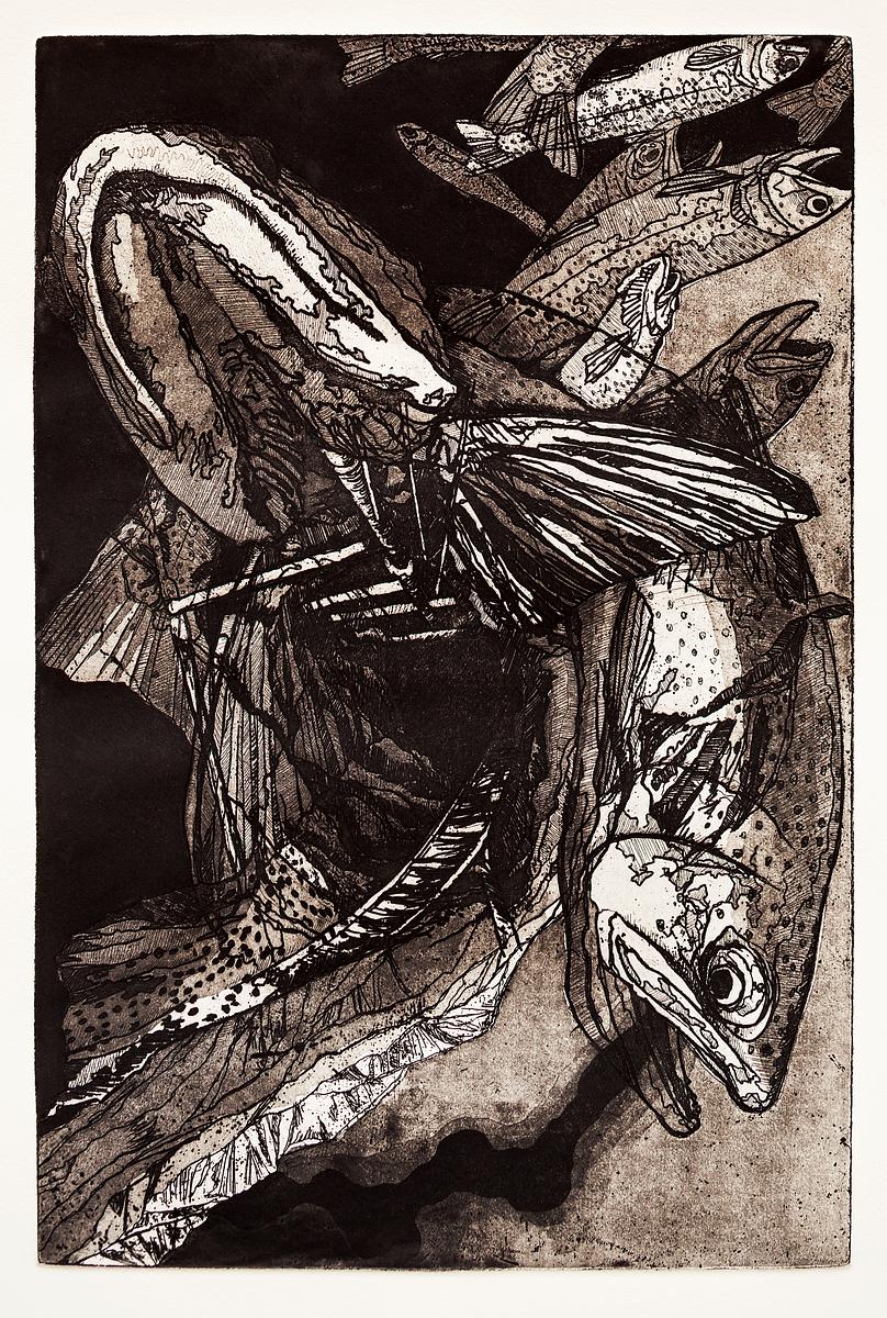Fish Kill 1